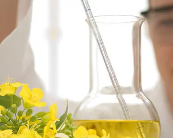 Laborfachkraft mit Schutzbrille untersucht ein Becherglas mit gelbem Pflanzenöl neben blühenden Rapsblüten zur Entwicklung von Bio-Schmierstoffen
