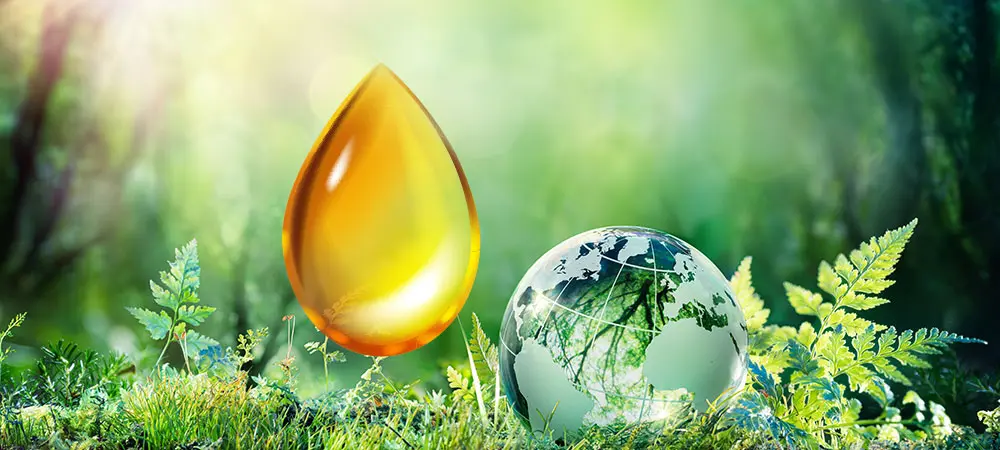 Goldener Öltropfen und gläserner Globus liegen in grüner Natur und symbolisieren umweltverträgliche Schmierstoffe