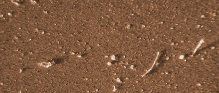 Partikelanalyse im Schmierstoff – mikroskopische Verschleißpartikel als Frühwarnsignal für Schäden Mikroskopische Aufnahme von feinen Verschleißpartikeln und Schmutz im Schmierstoff bei der Partikelanalyse